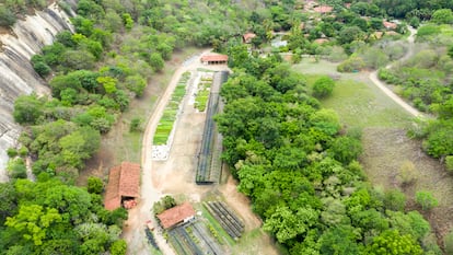 The Terra Institute – founded by Lélia Wanick and Sebastião Salgado – in an image from 2019.