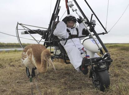 Putin durante su vuelo en ala delta para enseñar grullas en cautividad.