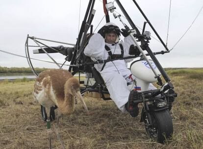 Putin durante su vuelo en ala delta para ense&ntilde;ar grullas en cautividad. 