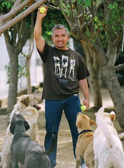 César Millán, presentador de la serie <i>El encantador de perros</i>.