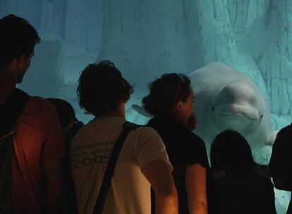 Visitantes observan una de las dos ballenas beluga del Oceanogràfic, en la Ciudad de las Artes y las Ciencias de Valencia.