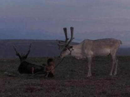 Fotografia de La terra habitada