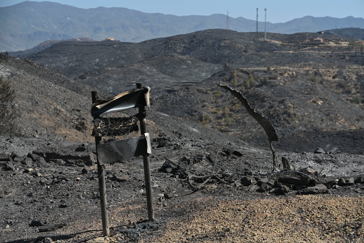 Últimas noticias de los incendios forestales, en directo | Continúan las labores para identificar a las víctimas mortales del incendio de los Gallardos