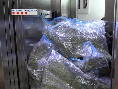 Cae un grupo que suministraba a clubes cannábicos de Barcelona