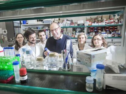 Ernest Giralt con parte de su equipo en su laboratorio del Institut de Recerca Biomedica de Barcelona (IRB). 