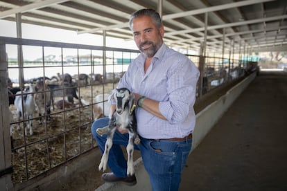 José Luis Holgado, propietario de la empresa Quesos Pajarete.
