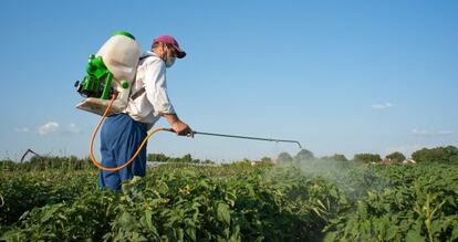 La agricultura exporta más que ningún sector