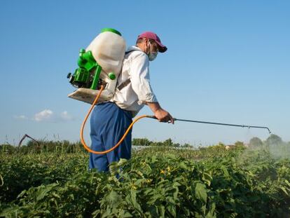 Agricultura: el mejor sector de España en internacionalización