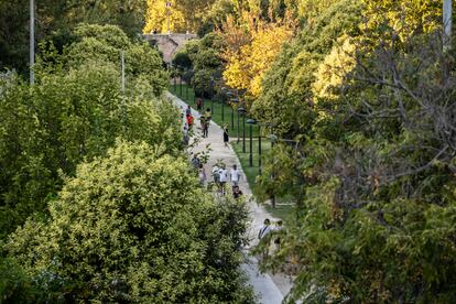 Condenado a diez años de prisión un hombre por violar a una joven en el antiguo cauce del río Turia de Valencia