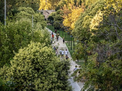 Cauce del Río Turia, en Valencia.