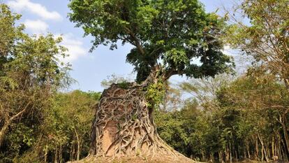 Sambor (Camboja) / SIGURD DOEPPEL