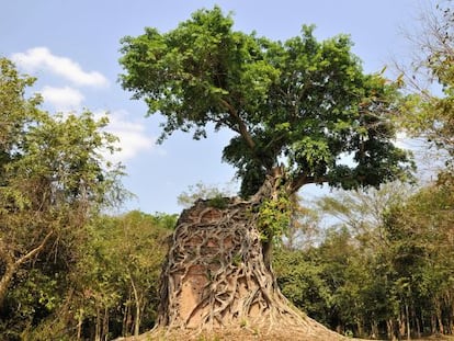 Sambor (Camboja) / SIGURD DOEPPEL