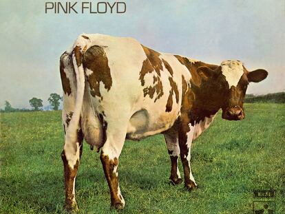 La emblemática portada 
del disco Atom Heart 
Mother, de Pink Floyd.