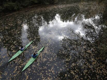 Dos pirag&uuml;istas palean sobre las aguas tranquilas del r&iacute;o Arga donde, a causa de la falta de corriente, se han acumulado las hojas. 