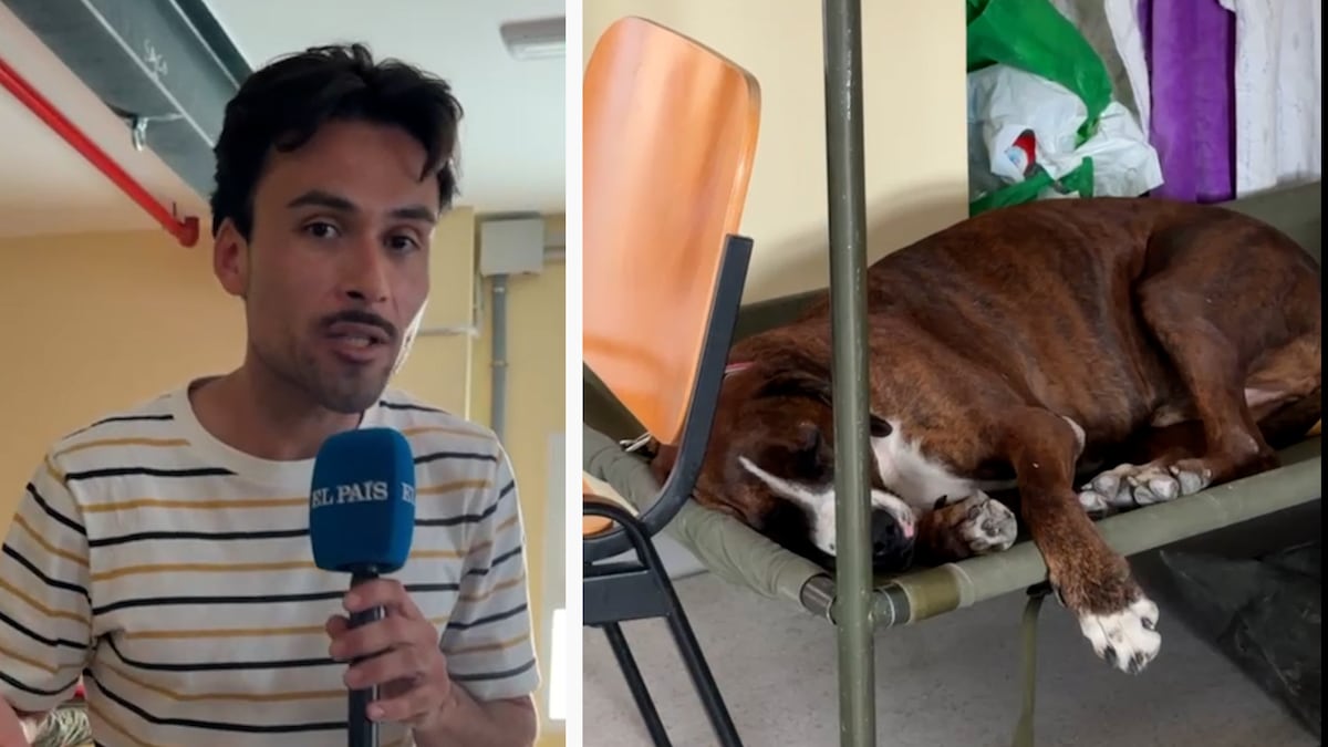 Los desalojados con mascota en Villamanta: “Lo primero que hice fue coger a mi perro”