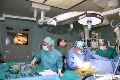 Una operación de trasplante en La Fe de Valencia.