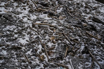 Restos de esqueletos dispersos ao redor da lagoa Roopkund.