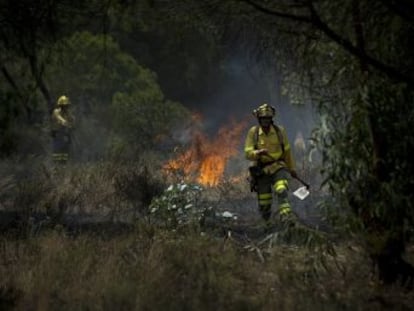 El parque de Doñana ha estado amenazado desde sus orígenes  la agricultura descontrolada es la mayor preocupación ahora