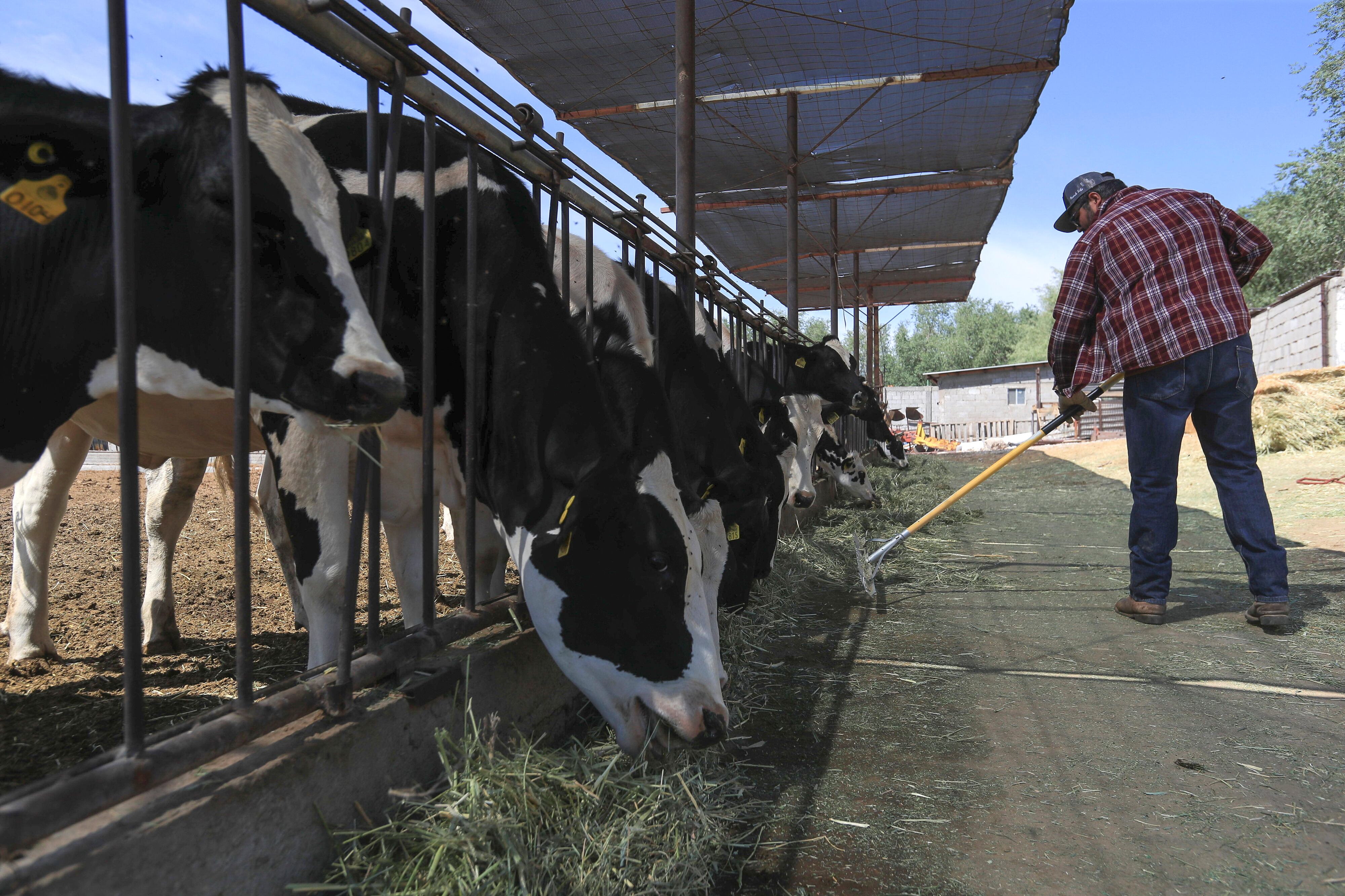 La producción agrícola y pesquera global aumentará un 14% en la próxima década