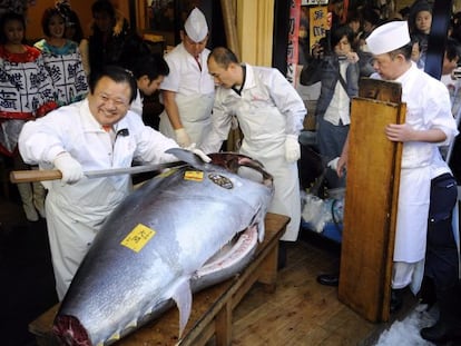El atún de aleta azul del Pacífico que ganó el récord en 2012 con un valor de 567.000 euros en Tokio (Japón). EFE/Archivo