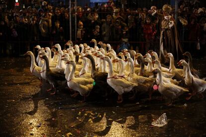 Un grupo de ocas desfila en la Cabalgata de los Reyes Magor por el centro de Madrid.