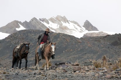 Un hombre en ruta con dos caballos en los alrededores del glaciar Pastoruri.