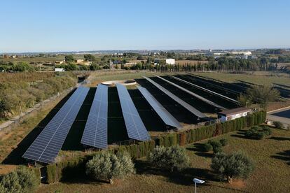 Parque fotovoltaico de la fábrica Nestlé en Reus (Tarragona).