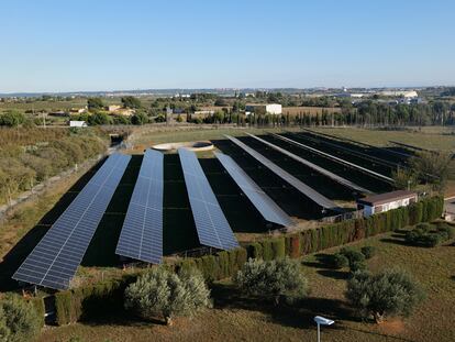 Parque fotovoltaico de la fábrica Nestlé en Reus (Tarragona).