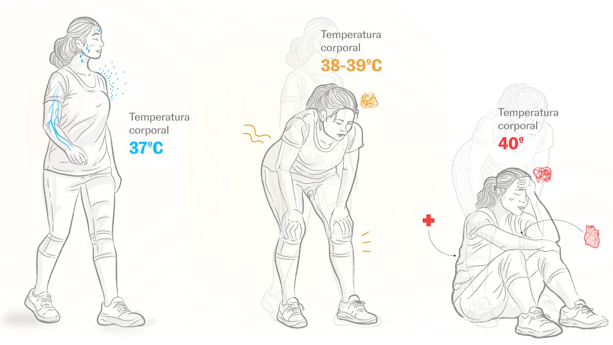 El calor extremo achicharra la salud: más irritados, peor sueño y más desajustes cardiovasculares