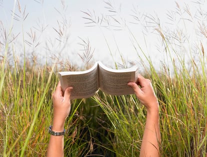 Man Reading Book in Meadow