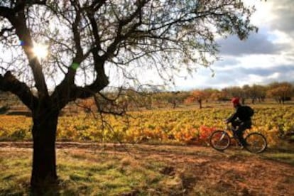 Cicloturismo en La Rioja de la mano ASG (Actual Sport Gestión).