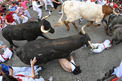 Varios mozos caen al suelo al paso de los toros de la ganadería sevillana de Miura, este lunes.