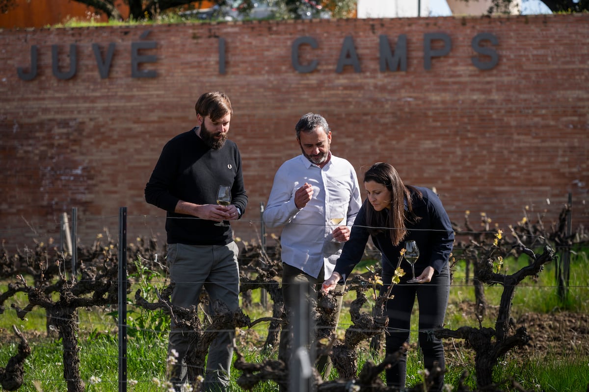 La fuga de la histórica Juvé&Camps agudiza la crisis de ventas y de liderazgo en la Denominación de Origen Cava