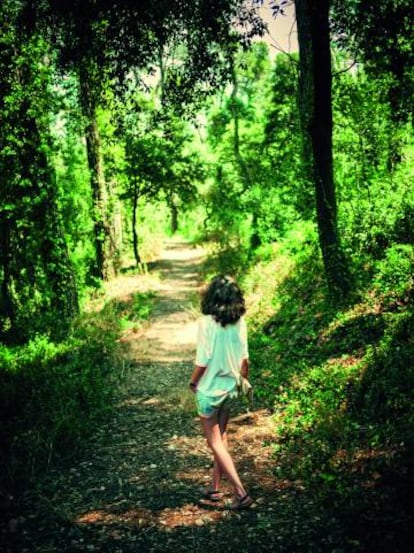 Camino en un bosque de la sierra de Montsant, en Tarragona.