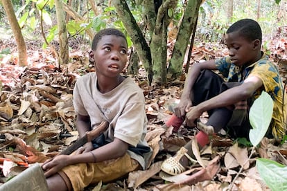 children from Burkina Faso are seen resting while working on a cocoa plantation in Ivory Coast in Daloa