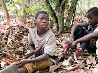 children from Burkina Faso are seen resting while working on a cocoa plantation in Ivory Coast in Daloa