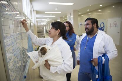 Iztapalapa es una de las zonas más degradadas de la capital. Una delegación que sufre la violencia, las carencias en el suministro de agua y donde un 34,7% de sus habitantes es pobre. En la imagen, médicos anestesistas organizan el trabajo para el día.