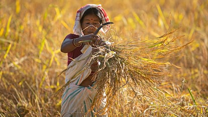 Trabajo mujeres India