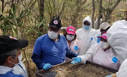 Familiares de desaparecidos trabajan en la exhumación de fosas clandestinas en El Mante, México.