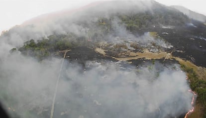 Los incendios forestales arrasan la vegetación en Mato Grosso, un Estado que vive del negocio agrícola y genera gran parte de la exportación de soja, maíz y algodón de Brasil. Allí se encuentran también los parques Chapada dos Guimarães —que ya ha perdido el 12% de su vegetación— y Serra de Ricardo Franco, en la frontera con Bolivia, un país que en las últimas jornadas también ha sido presa del fuego, que ya ha quemado medio millón de hectáreas.