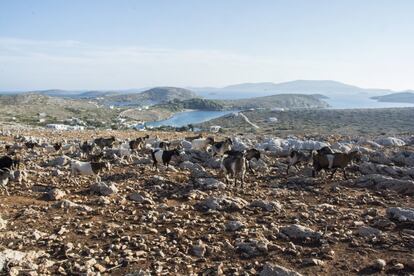 <p>Los isleños son mayoritariamente pastores y pescadores, como la familia de Christos. Casi todos tienen un pequeño bote para pescar cuando el clima lo permite.</p> <p>A la familia de Christos le resulta imposible mudarse, y por eso solo uno de sus hermanos mayores completó la secundaria, ya que se fue a vivir con unos familiares a Patmos. Tal y como está la situación en este momento, el niño está condenado a dejar los estudios dentro de tres años y permanecer en la isla donde probablemente trabajará como pastor, igual que su padre.</p>