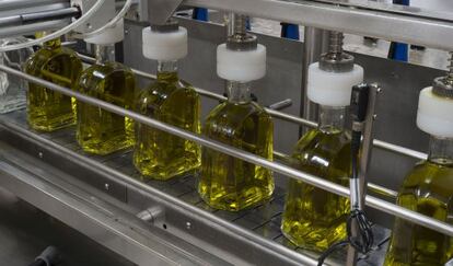 Envasado de aceite de oliva virgen extra en una almazara de Ja&eacute;n en 2014. 