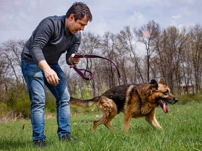 El seguro no responde por la caída del colega que pasea al perro