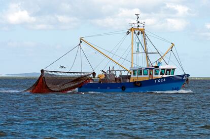 Pesca en Holanda