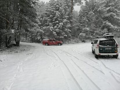 Nieve en la sierra de Madrid el pasado 16 de marzo.