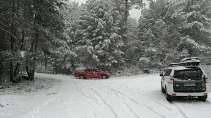 Nieve en la sierra de Madrid el pasado 16 de marzo.