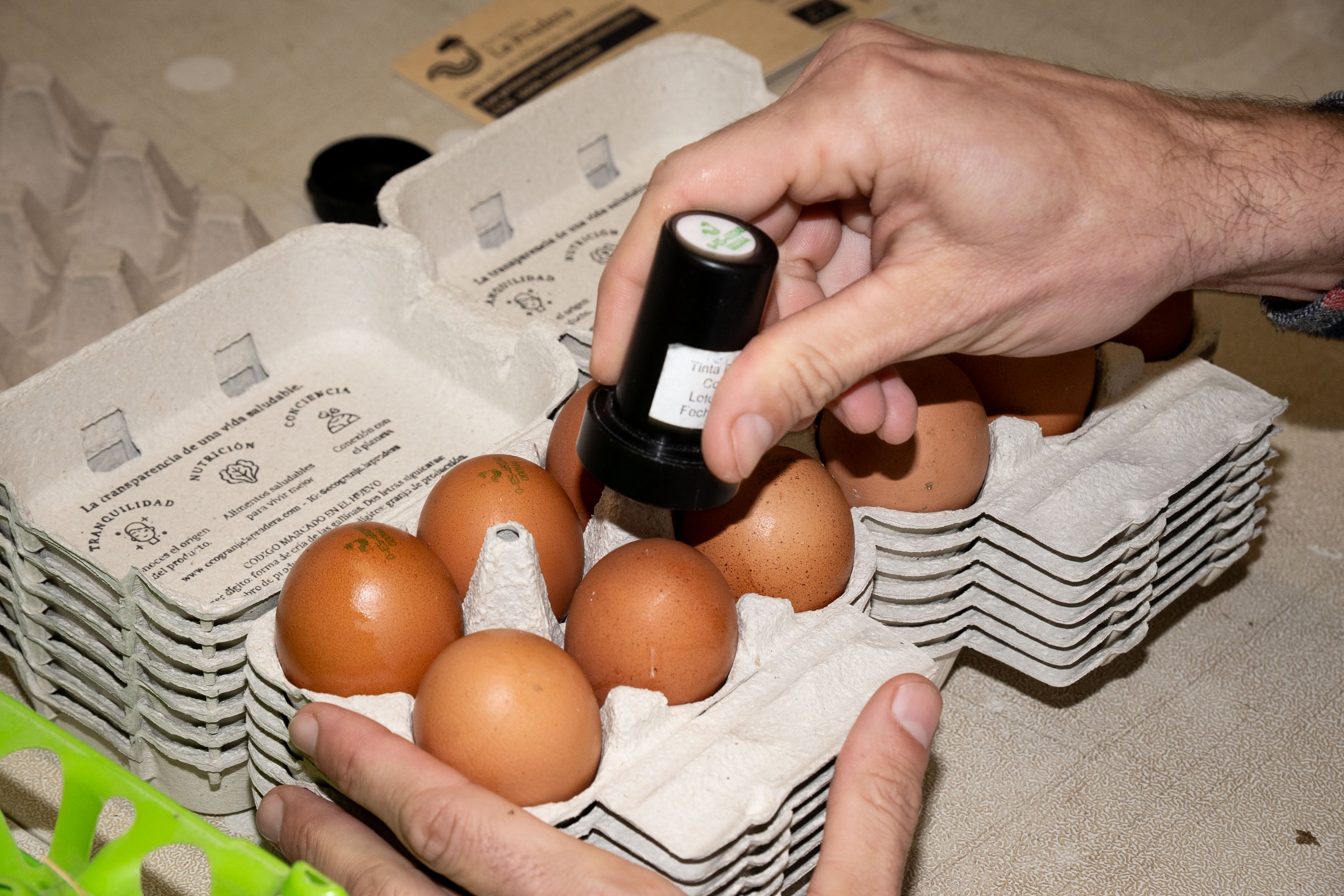 Huevos de la Ecogranja La Pradera, en Orgaz, Toledo, obligada a confinar sus gallinas desde hace algunos meses a causa de la gripe aviar, el 16 de enero