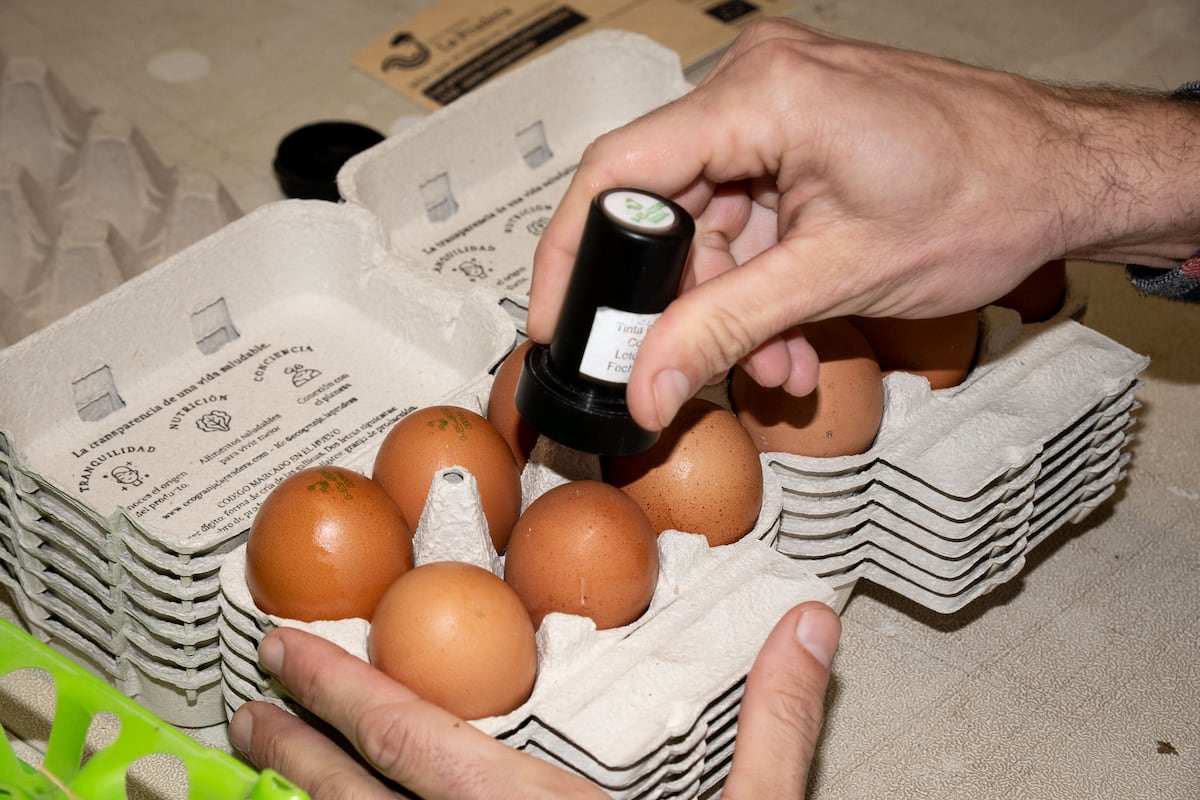 El meteórico ascenso del precio del huevo no da tregua