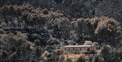 Vivienda del escritor John Bosomworth, rodeada de bosque quemado.