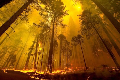 El incendio, que ha arrasado 50.000 hect&aacute;reas en ocho d&iacute;as, est&aacute; da&ntilde;ando las infraestructuras el&eacute;ctricas de la ciudad y el condado.